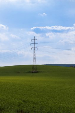 Üzerinde yüksek voltajlı elektrik direği olan bir bezelye tarlası. Arka planda beyaz bulutlu mavi bir gökyüzü var. Işık ve gölge sahada sırayla.