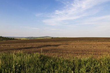 Çek Cumhuriyeti 'nin Karlin yakınlarındaki kırsal bölgelerde. Arka planda tepeler ve bulutlu mavi gökyüzü var..