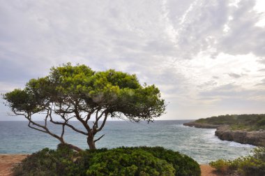 Bulutlu gökyüzü altında pastoral deniz manzarası