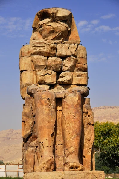 Колоси Мемнона в Єгипті — стокове фото