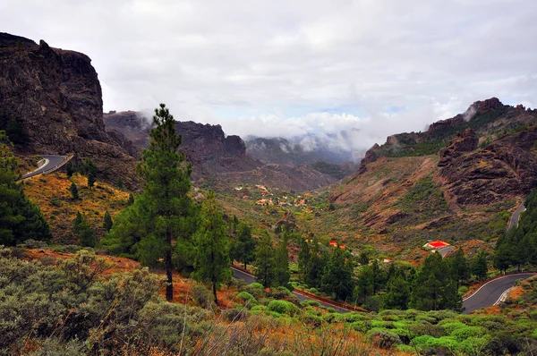 Gran canaria island — Stockfoto