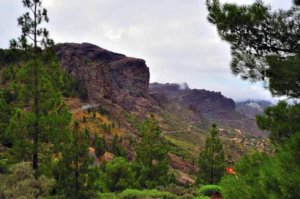 Gran Canaria Adası — Stok fotoğraf