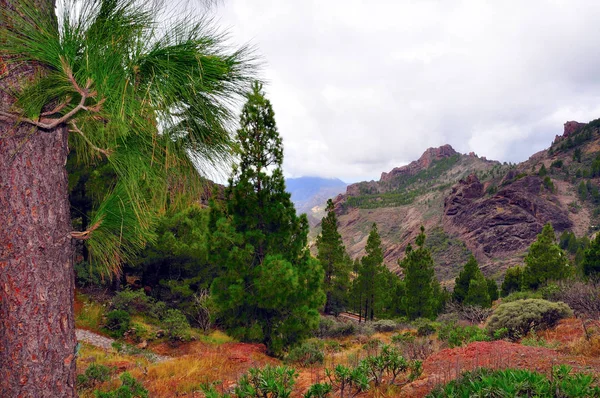 Gran Canaria Adası — Stok fotoğraf