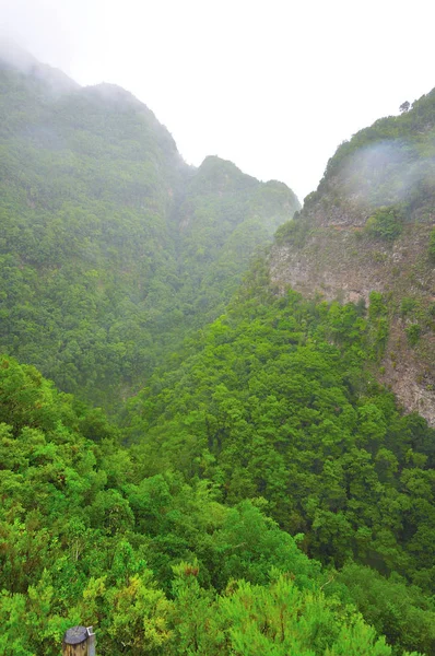 Adanın palmiye İspanya — Stok fotoğraf