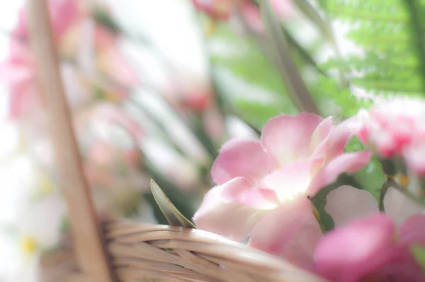 Różowe kwiaty z tworzywa sztucznego — Zdjęcie stockowe