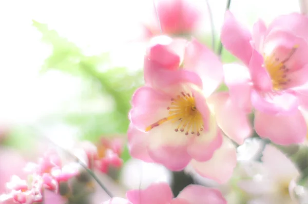 Pink plastic flowers — Stock Photo, Image