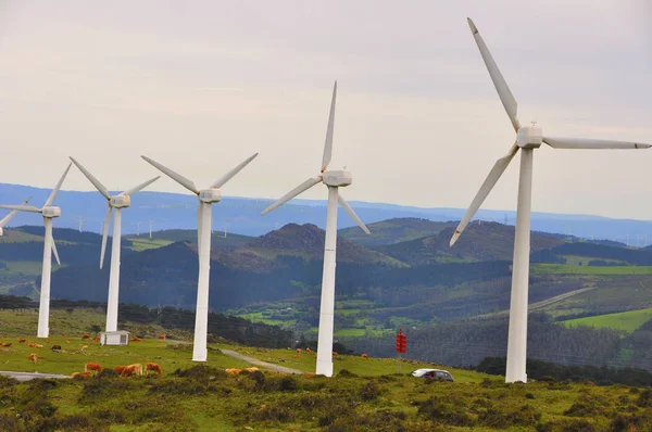 eolico Park İspanya