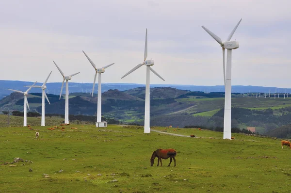 eolico Park İspanya