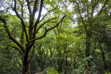 Yaz aylarında kaldırma