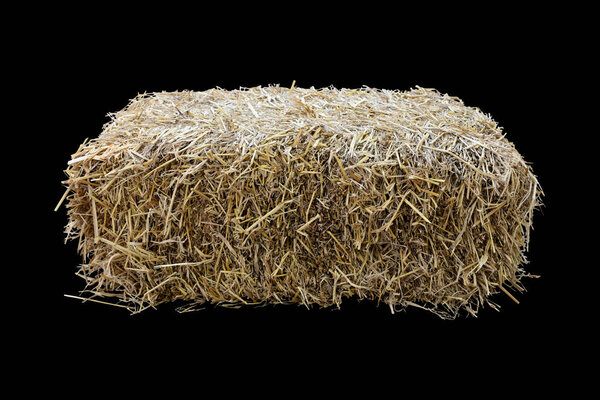 Isolated rice straw with clipping paths.