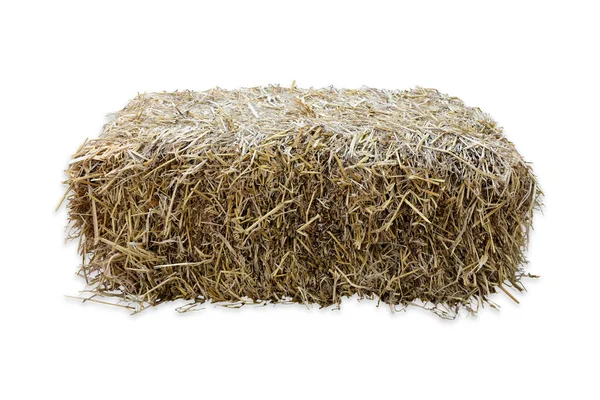 Isolated Rice Straw Clipping Paths — Stock Photo, Image