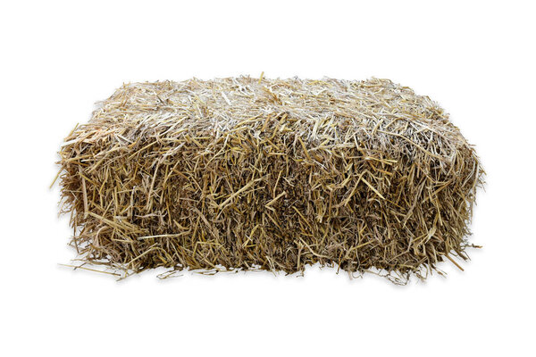 Isolated rice straw with clipping paths.