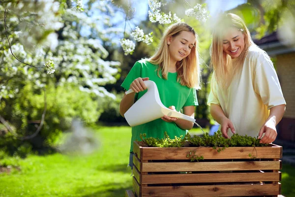 Ibu lucu dan anak perempuan menyiram bunga, dalam pot kayu, dari kaleng air, di kebun mereka. — Stok Foto