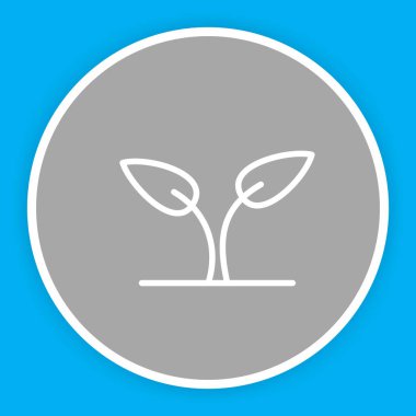 Soyut grupta filizlenme simgesi izole edildi