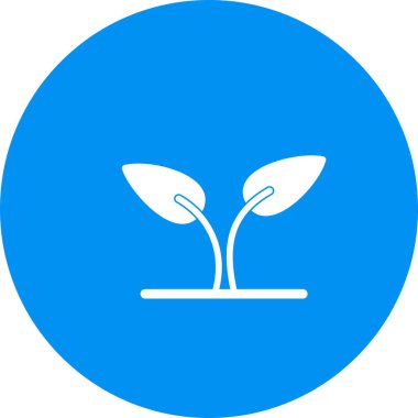 Soyut grupta filizlenme simgesi izole edildi