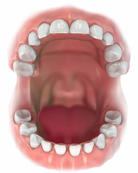 Здоровый Эстетичный Рот Зубами Здоровых Деснах Губ Рот Открыт Язык — стоковое фото