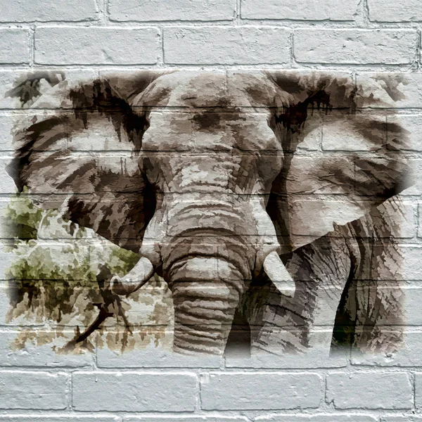 Street art, elefante — Vettoriale Stock