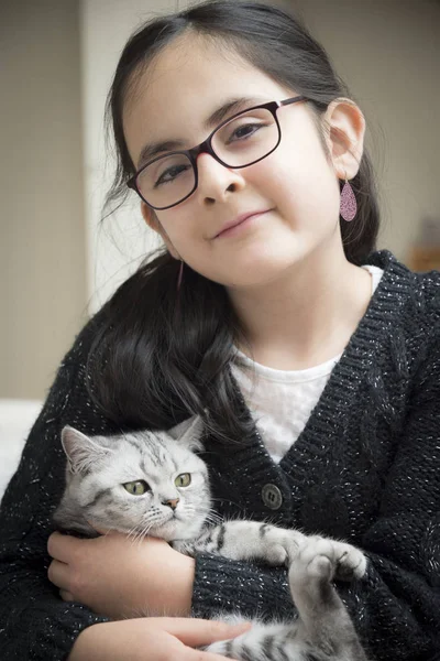 Dívka si hraje s britská kočka — Stock fotografie