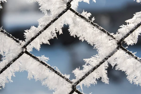 Rostig tråd nätstängsel täckt med rimfrost på vintern — Stockfoto