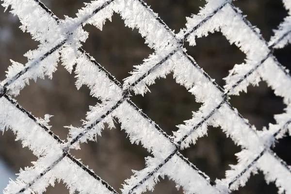 Rostig tråd nätstängsel täckt med rimfrost på vintern — Stockfoto