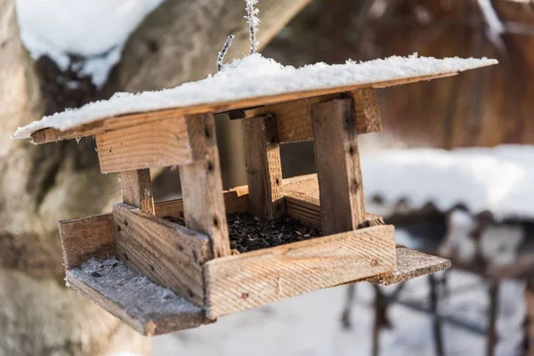 Mangeoire à oiseaux avec graines de tournesol en hiver Photos De Stock Libres De Droits