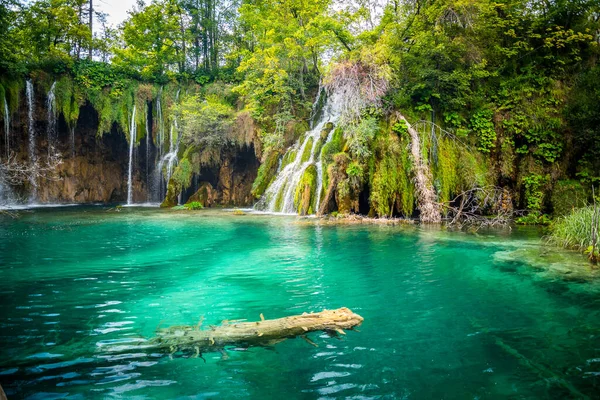 Hırvatistan 'ın Plitvice gölleri Ulusal Parkı' ndaki ormanda kristal berrak suyla inanılmaz şelaleler. Doğa manzarası