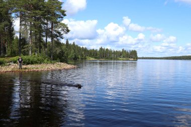 Kıyıda dikilen bir çocuk, siyah bir Labrador Retriever 'ın su külü içinde yüzüşünü izlerken Finlandiya' nın Ranuanjarvi Gölü 'nden bir sopa alır.. 