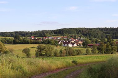 Almanya 'nın Potzbach kasabası yakınlarındaki yeşil çim ve tarlalarla çevrili bir kır yolu. Arka planda güneşli bir bahar günü Palatinate Ormanı var.. 