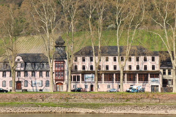 Edificios Rosados Junto Río Rin Detrás Una Hilera Árboles Alemania — Foto de Stock