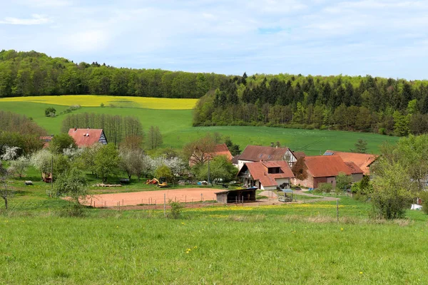 Almanya Yeşil Tarlalarla Çevrili Küçük Bir Köy — Stok fotoğraf