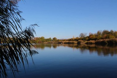 Gölün kıyı şeridi ön planda deniz otuyla birlikte suya yansıyor