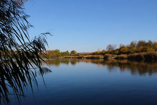 Litoral del lago reflejándose en el agua con hierba marina en primer plano — Foto de Stock