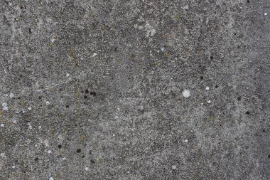 Arka planı liken olan pürüzlü beton duvar dokusu