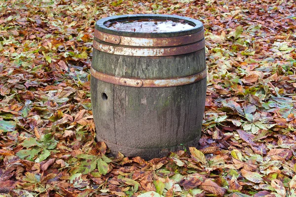 Vieux tonneau entouré de feuilles — Photo