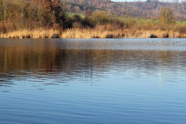 Göl kıyısı sulara yansıyor