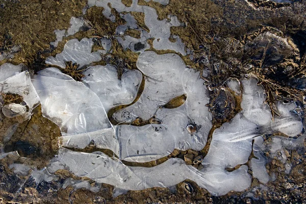 Замерзшая лужа со льдом зимой — стоковое фото
