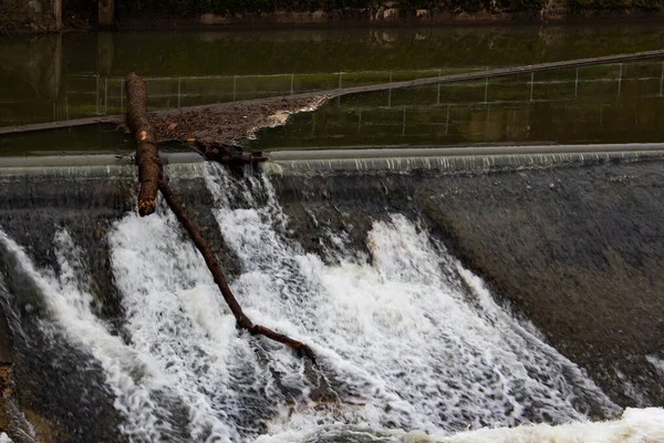 Tronco de árbol colgando sobre un vertedero con agua que fluye sobre él — Foto de Stock