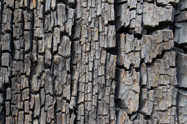 Close up of old ancient cracked wood texture, can be used as Background or Wallpaper — Stock Photo, Image