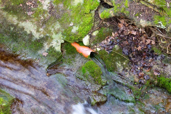 Gebrochenes Pvc Rohr Kommt Aus Dem Boden Und Abwasser Fließt — Stockfoto