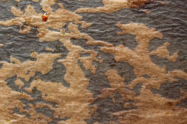 Pişirme tepsisinin üzerinde duran yağlı fırın kağıdının arkaplan dokusu