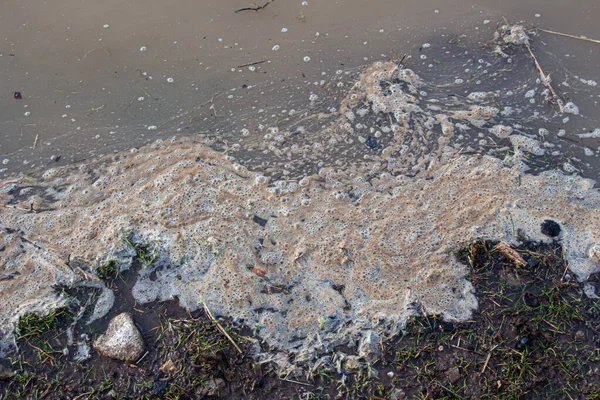 Braunes Schmutzwasser Schaum Und Abschaum Sammeln Sich Während Einer Überschwemmung — Stockfoto
