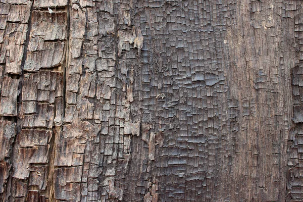 Close Old Ancient Cracked Wood Texture Can Used Background Wallpaper — Stock Photo, Image