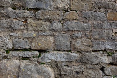 Çatlak arka planda bitkiler ve yosunlar büyüyen eski doğal taş duvar.