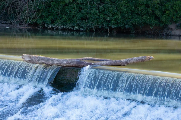 Tronco Árvore Pendurado Cima Açude Bloqueando Água — Fotografia de Stock