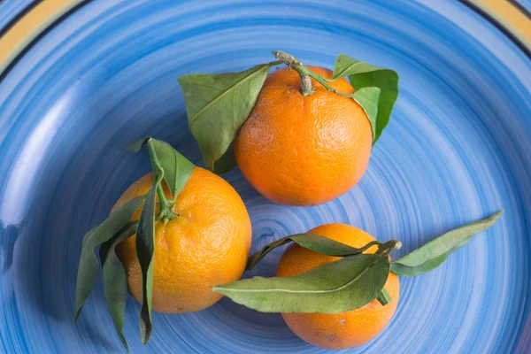 Három kis mandarine mandarin, a nagy kék kerek tál étel — Stock Fotó