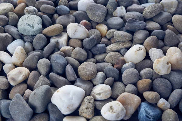 Abstract background sea pebbles — Stock Photo, Image