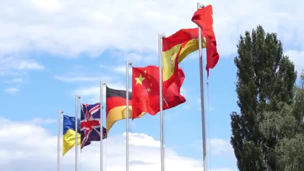 Seis banderas ondeando en postes de bandera — Vídeos de Stock