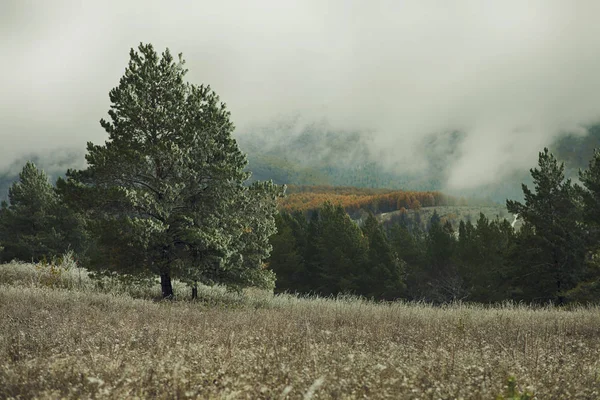 Sezon Ural Dağları