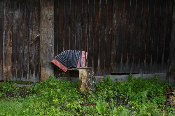  Çit tarafından yalnız akordeon