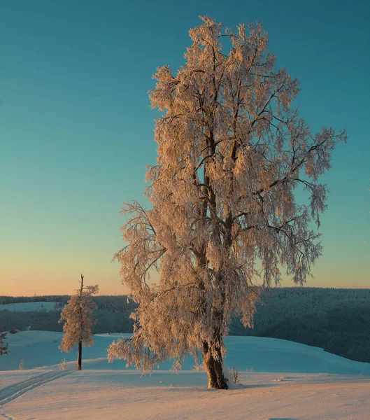  Dağlarda pastel günbatımı